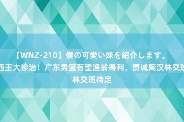 【WNZ-210】僕の可愛い妹を紹介します。 山东西王大诊治！广东男篮有望渔翁得利，贾诚陶汉林交班待定