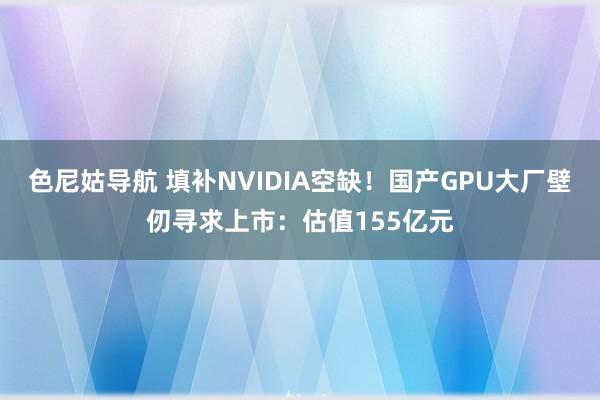 色尼姑导航 填补NVIDIA空缺！国产GPU大厂壁仞寻求上市：估值155亿元