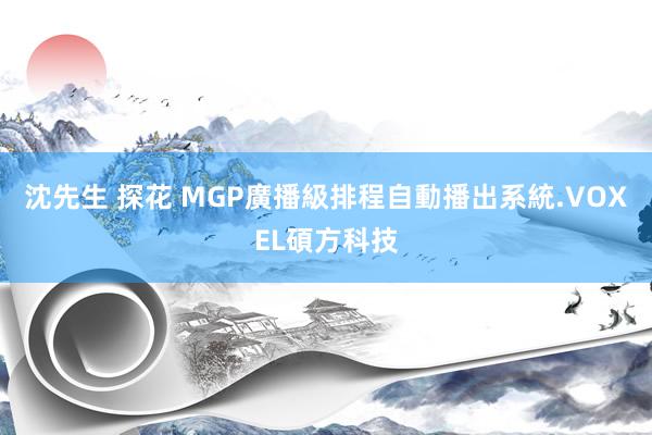 沈先生 探花 MGP廣播級排程自動播出系統.VOXEL碩方科技