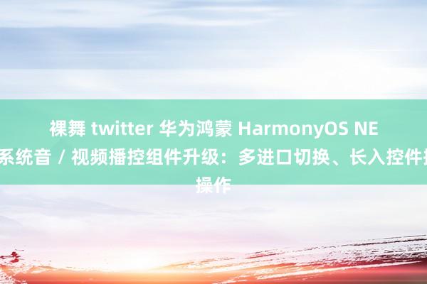 裸舞 twitter 华为鸿蒙 HarmonyOS NEXT 系统音 / 视频播控组件升级：多进口切换、长入控件操作